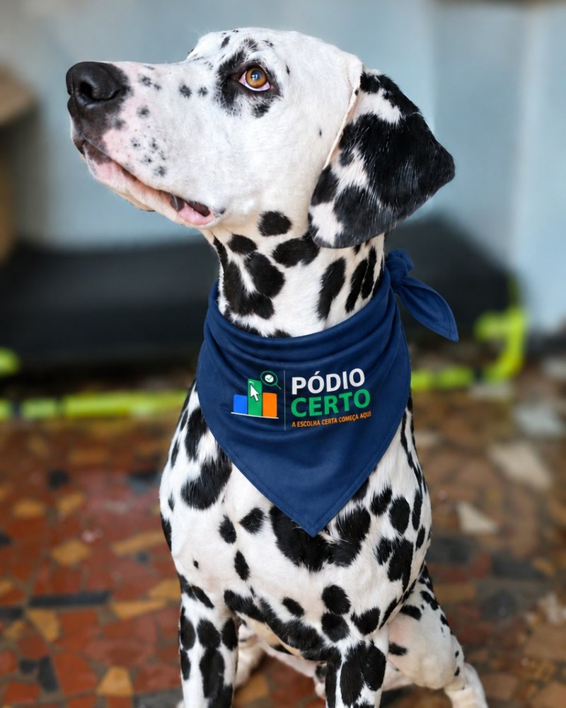 Johny, o dálmata mascote do Pódio Certo, sentado com a bandana da marca